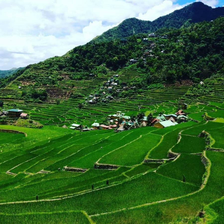 Batad Rita'S Mount View Inn And Restaurant 바나우에 외부 사진